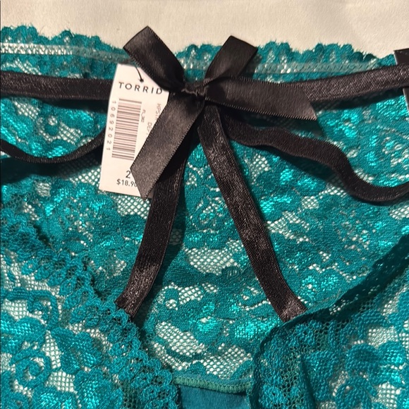 Torrid NWT SZ 2 Teal Lace Women's Briefs - Picture 4 of 6